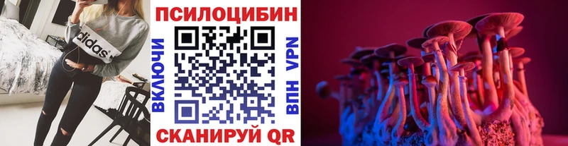 кракен зеркало  Макушино  Псилоцибиновые грибы GOLDEN TEACHER  где купить  